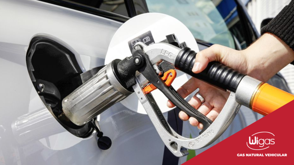 ¿QUÉ ES UN SISTEMA DUAL FUEL? Wigas
